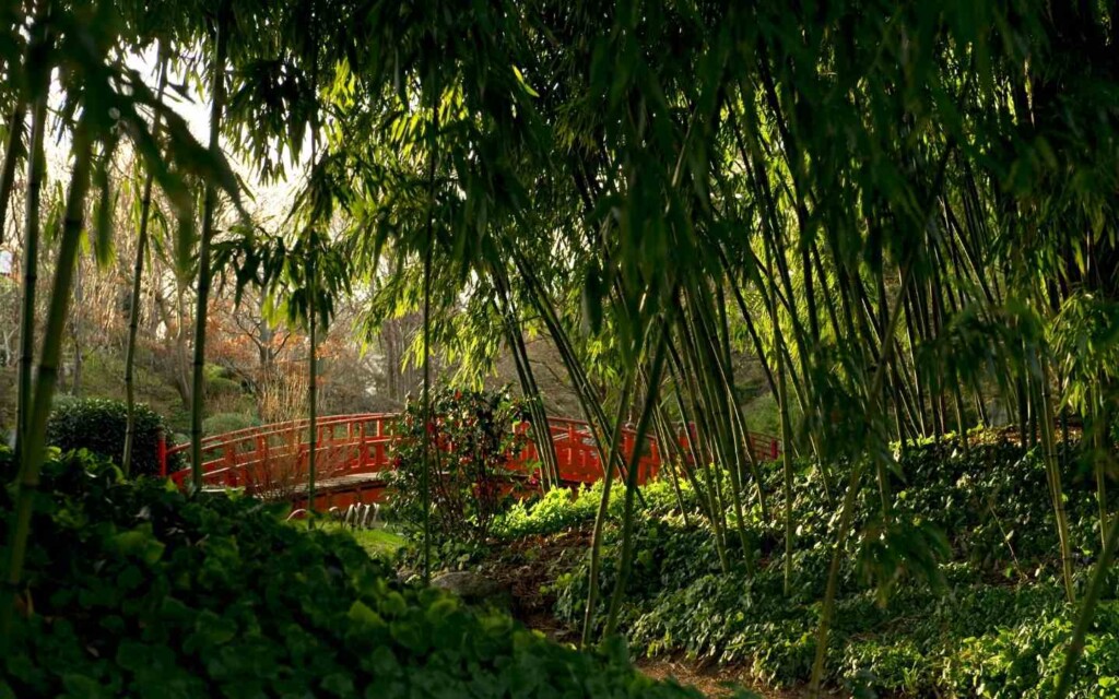 privatisation jardins albert kahn